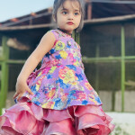 Elegant Fancy Frock