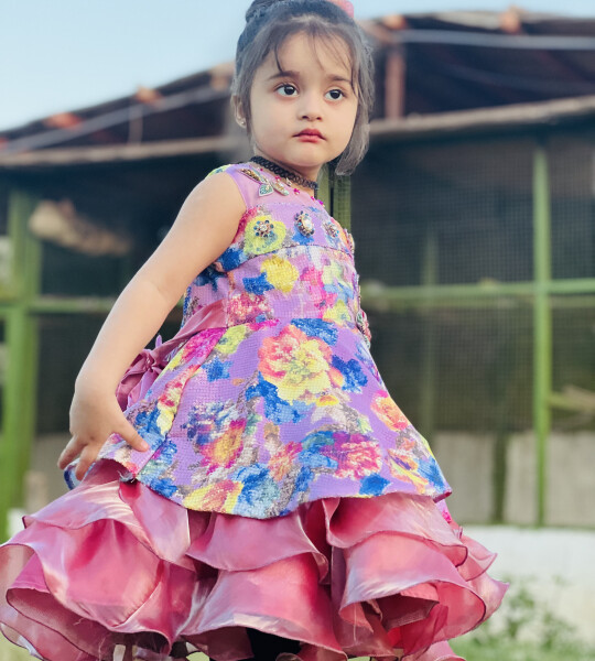 Elegant Fancy Frock