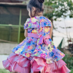 Elegant Fancy Frock