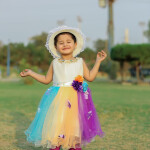 Multi Color Net Frock