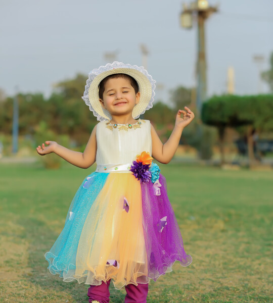 Multi Color Net Frock