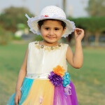 Multi Color Net Frock