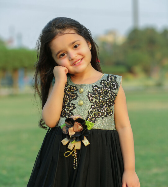 Black Shine Embroided Frock