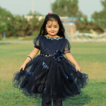 Blue Butterfly Frock