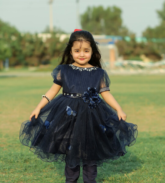 Blue Butterfly Frock
