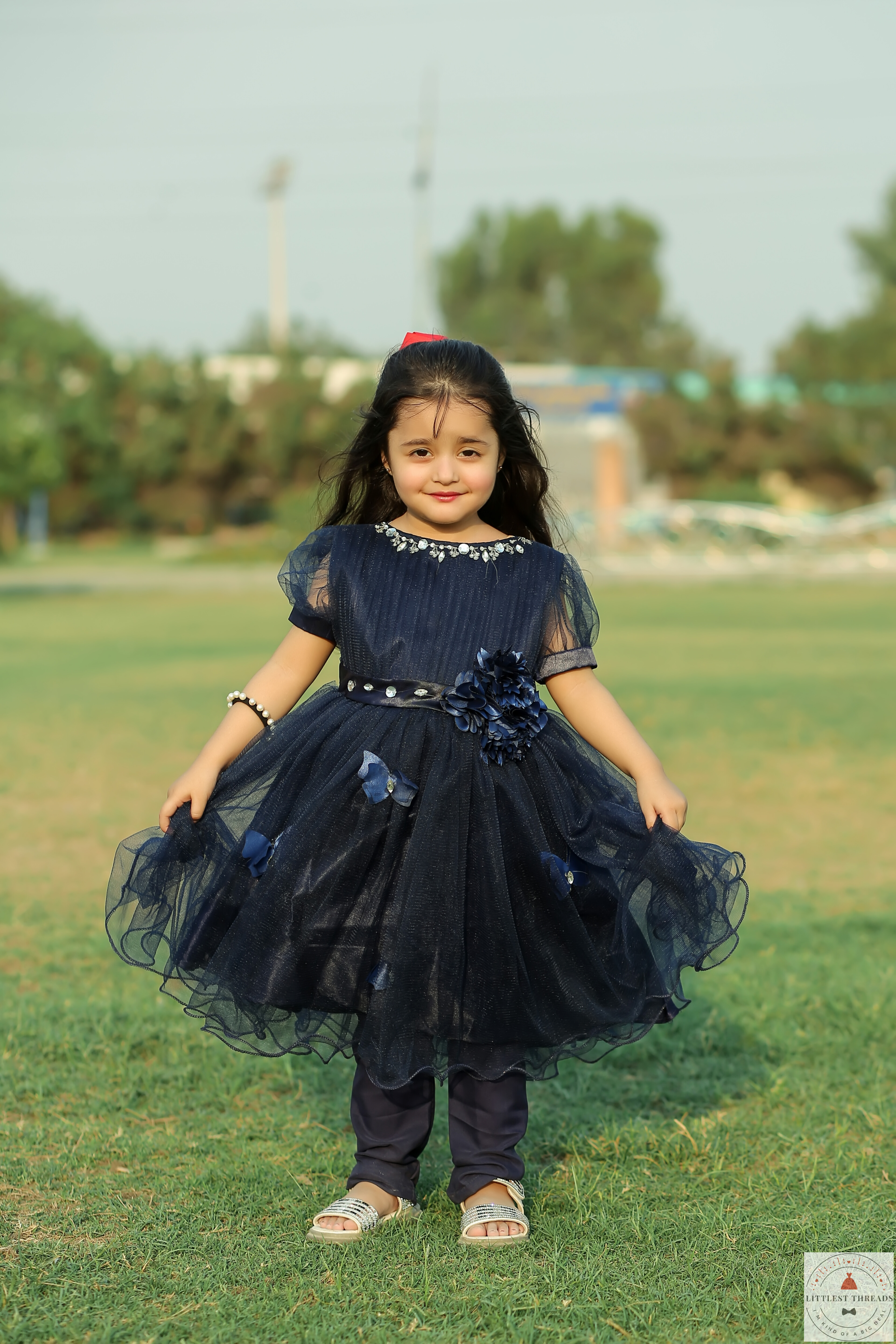 Blue Butterfly Frock