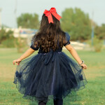 Blue Butterfly Frock