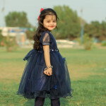 Blue Butterfly Frock
