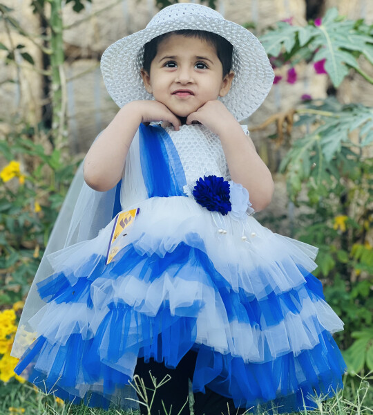 Ice & Snow Frock Princess Dress